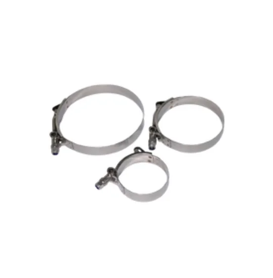 ABRAZADERA DE TORNILLO EN T  2